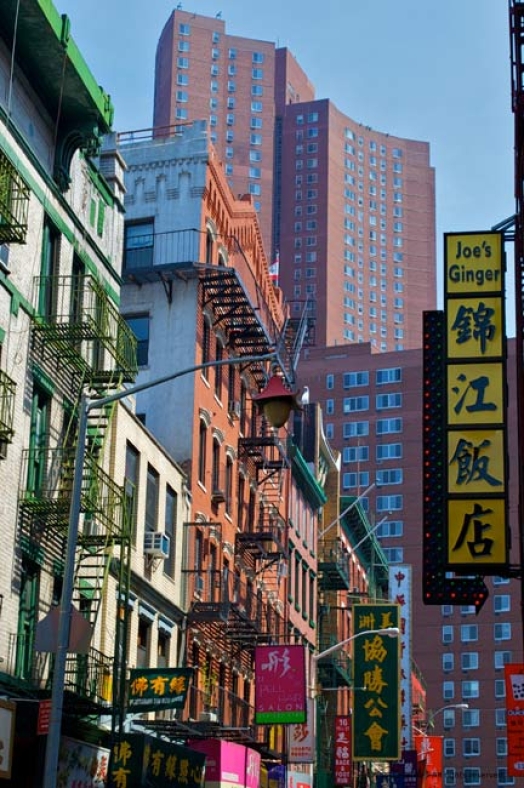 http://herpeton.fr/files/gimgs/th-10_28_nyc2.jpg