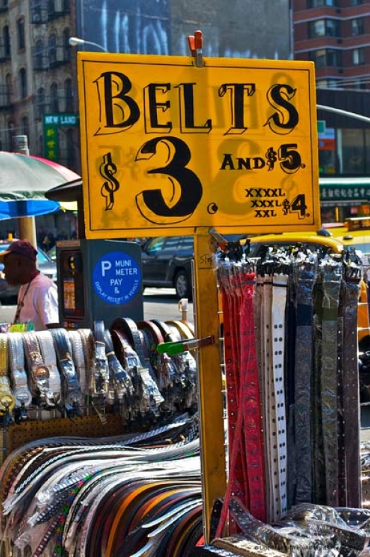 http://herpeton.fr/files/gimgs/th-10_28_nyc6.jpg