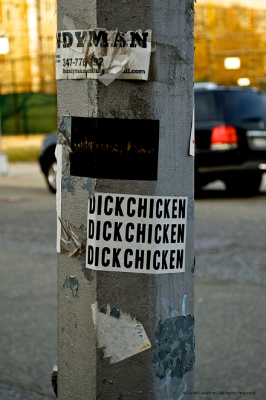 http://herpeton.fr/files/gimgs/th-10_28_dsc2320---version-2.jpg