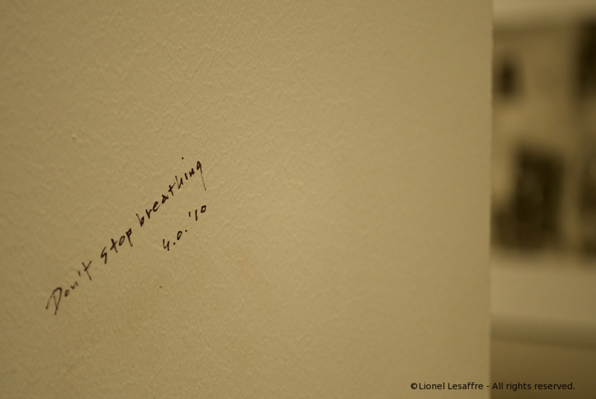 http://herpeton.fr/files/gimgs/th-10_28_dsc2874---version-2.jpg