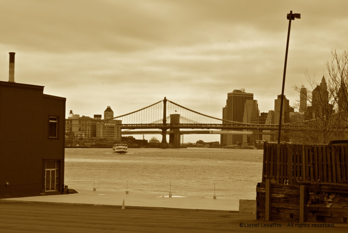 http://herpeton.fr/files/gimgs/th-10_28_dsc2215---version-4.jpg