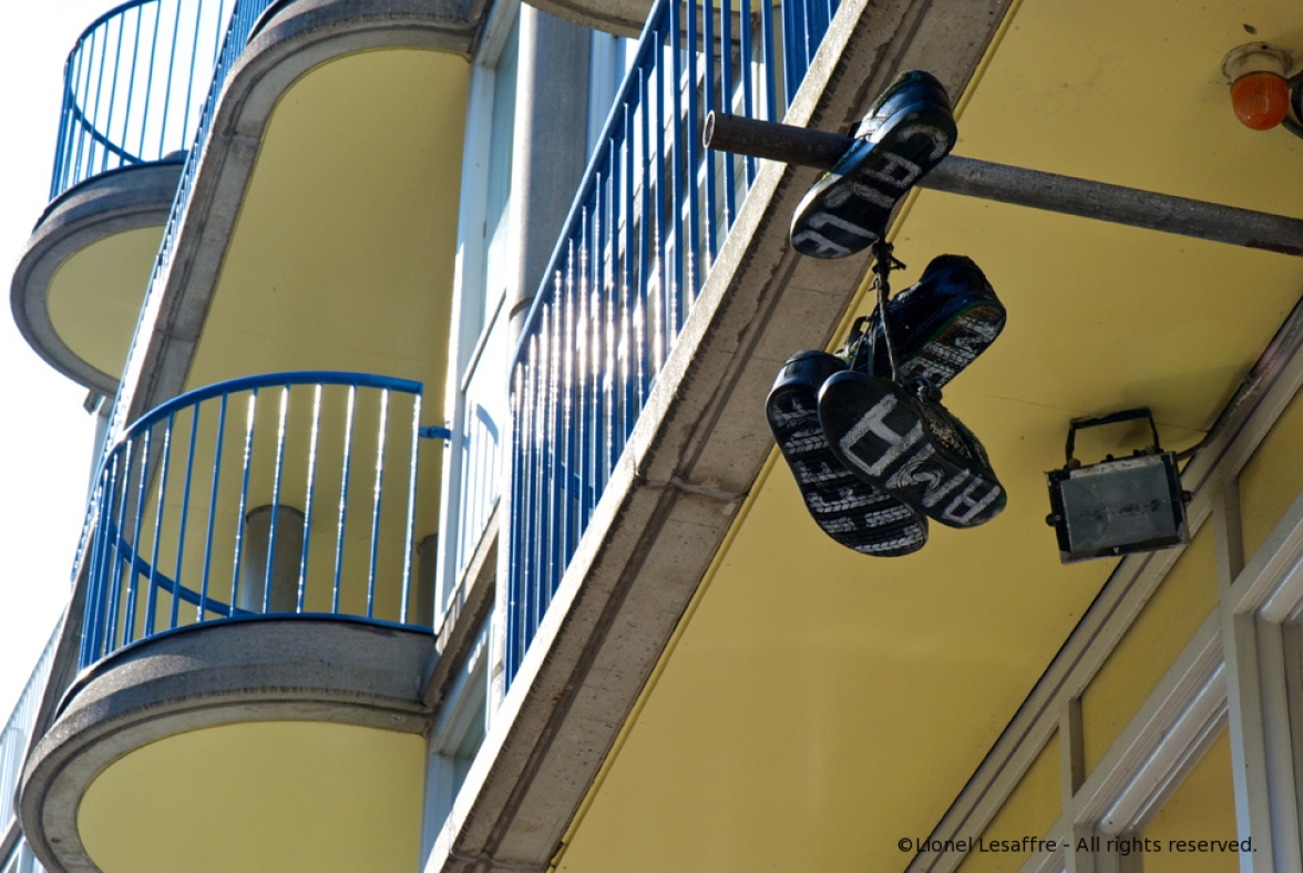 http://herpeton.fr/files/gimgs/th-11__DSC3084_-_Version_2_copie.jpg