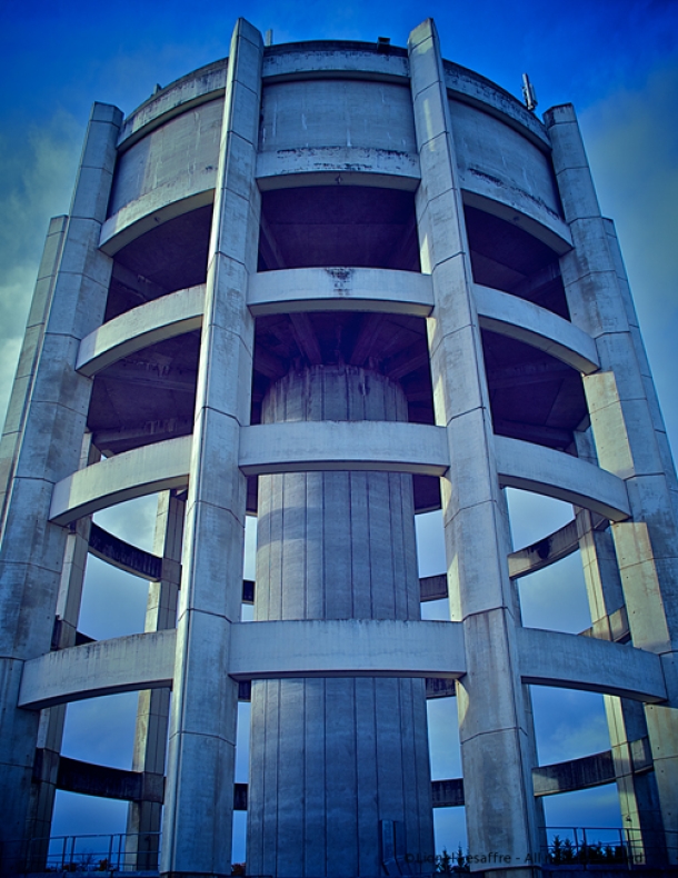 http://herpeton.fr/files/gimgs/th-7__DSC7193---Version-3.jpg