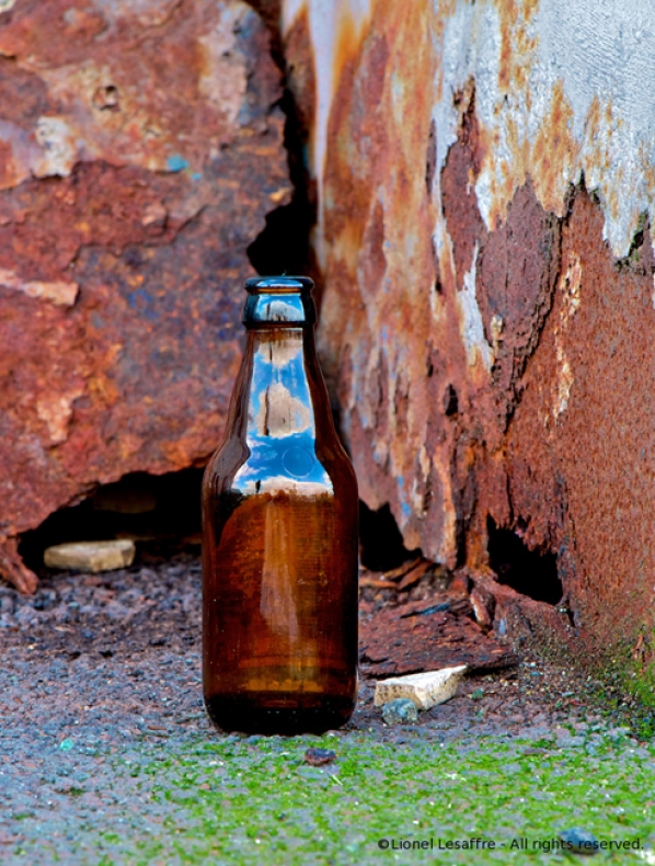 http://herpeton.fr/files/gimgs/th-7_16_-sky-bottle-ret.jpg